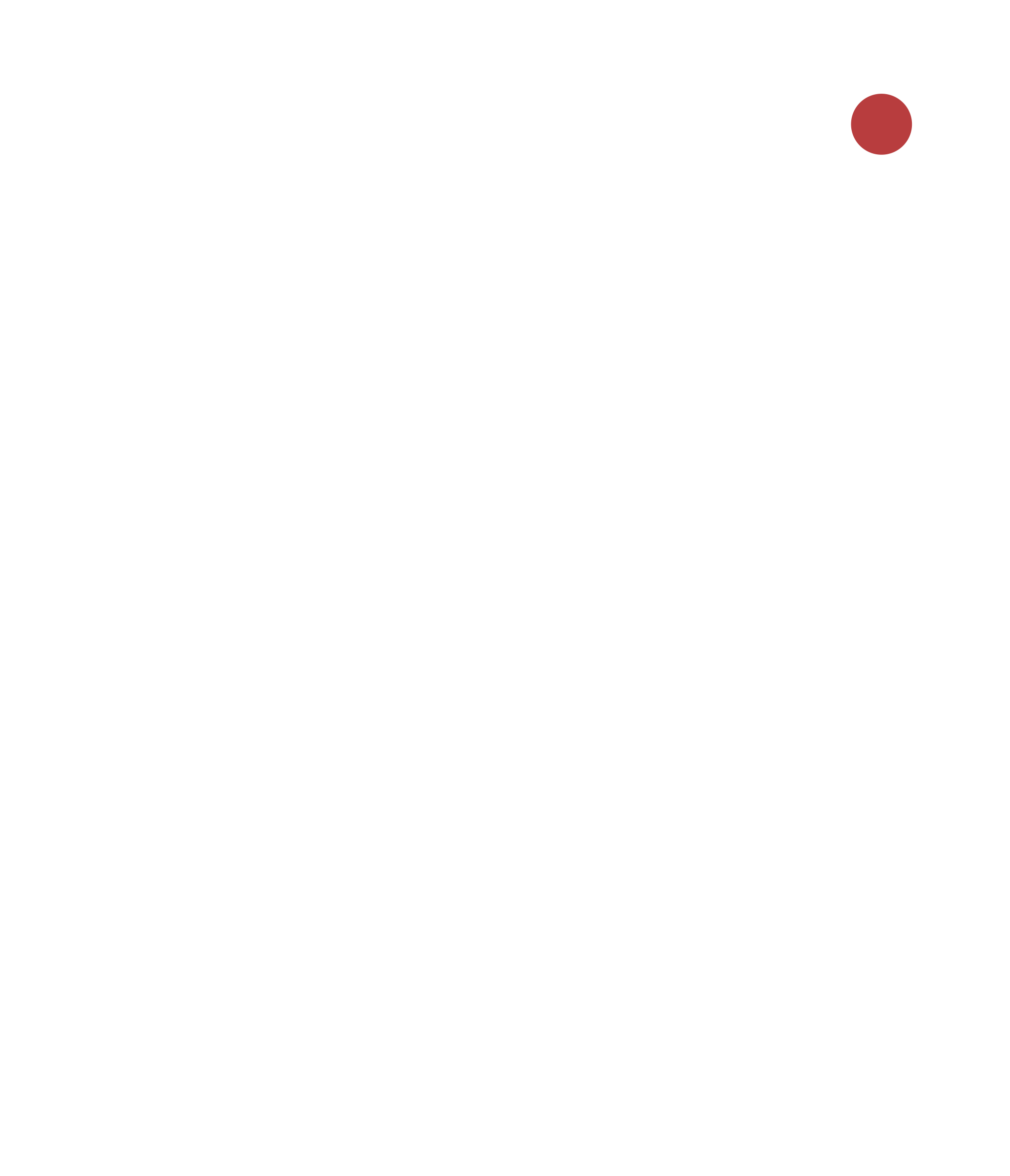 Logo POK N WOO Studio